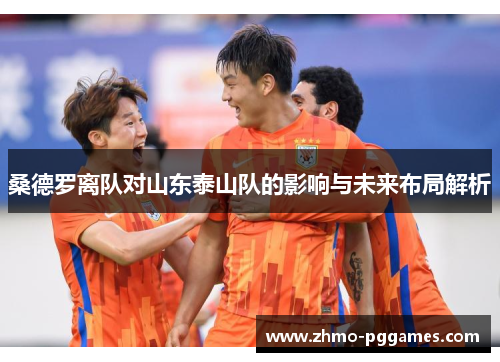 桑德罗离队对山东泰山队的影响与未来布局解析