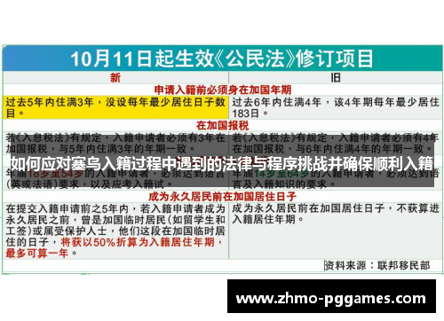 如何应对塞鸟入籍过程中遇到的法律与程序挑战并确保顺利入籍