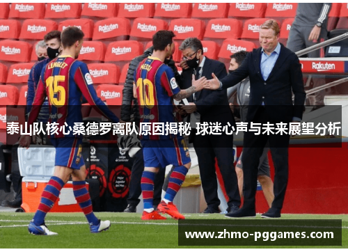 泰山队核心桑德罗离队原因揭秘 球迷心声与未来展望分析