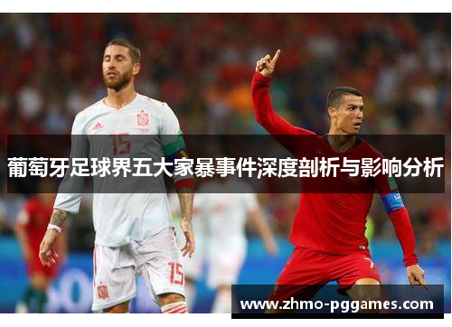 葡萄牙足球界五大家暴事件深度剖析与影响分析
